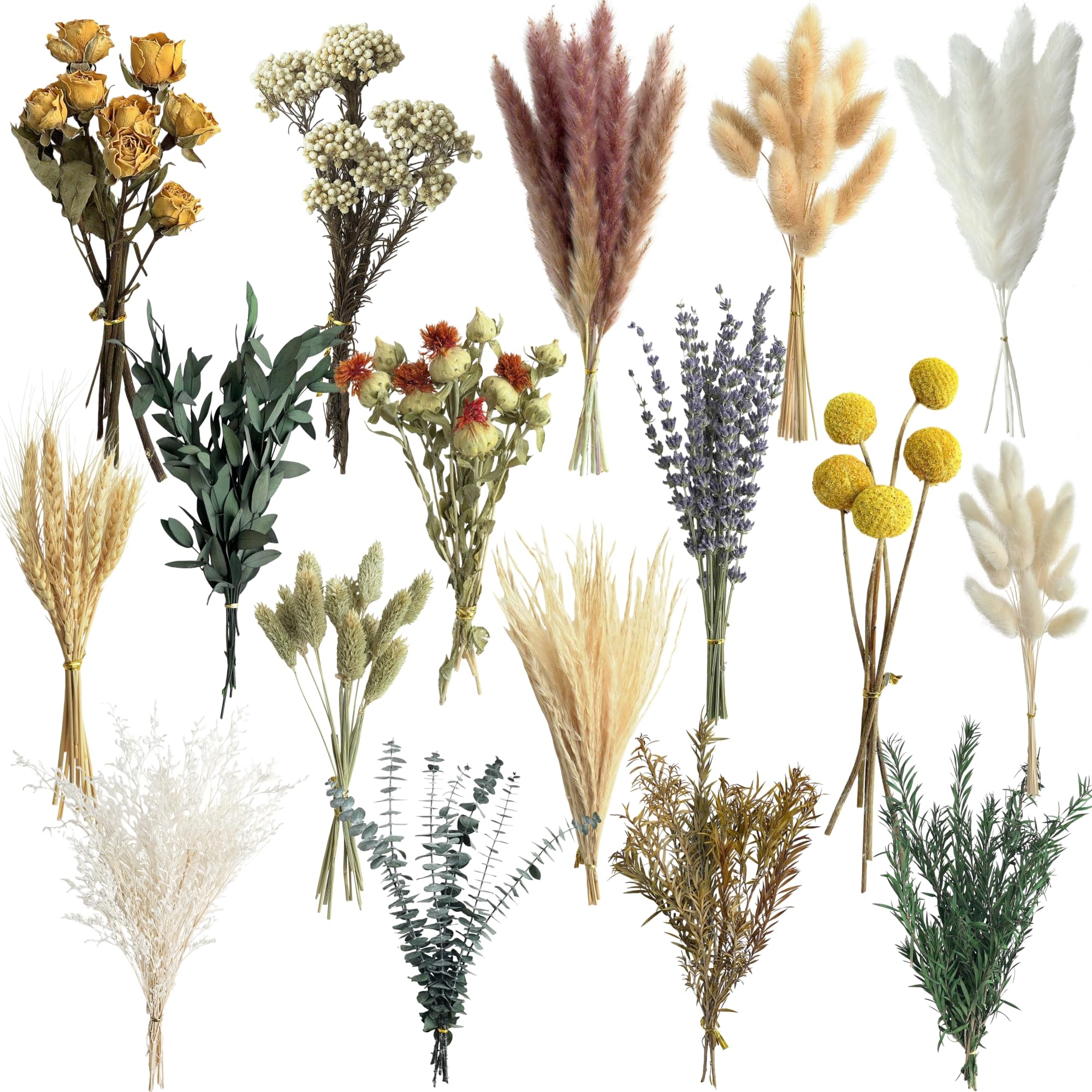 16 varieties dried flowers set with stems 7-8 inches