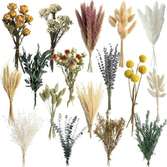 16 varieties dried flowers set with stems 7-8 inches