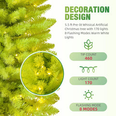 Warm white LED lights across the tree