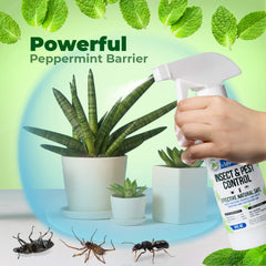Two 8oz bottles Insect and Pest Control Peppermint Oil