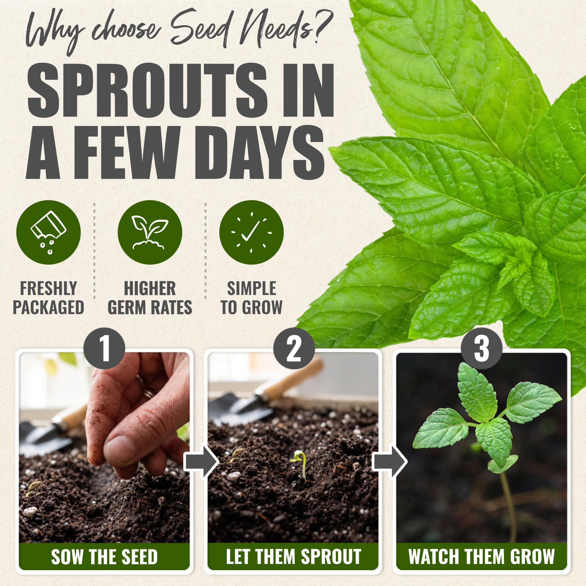 Fresh peppermint seeds in tear resistant packaging