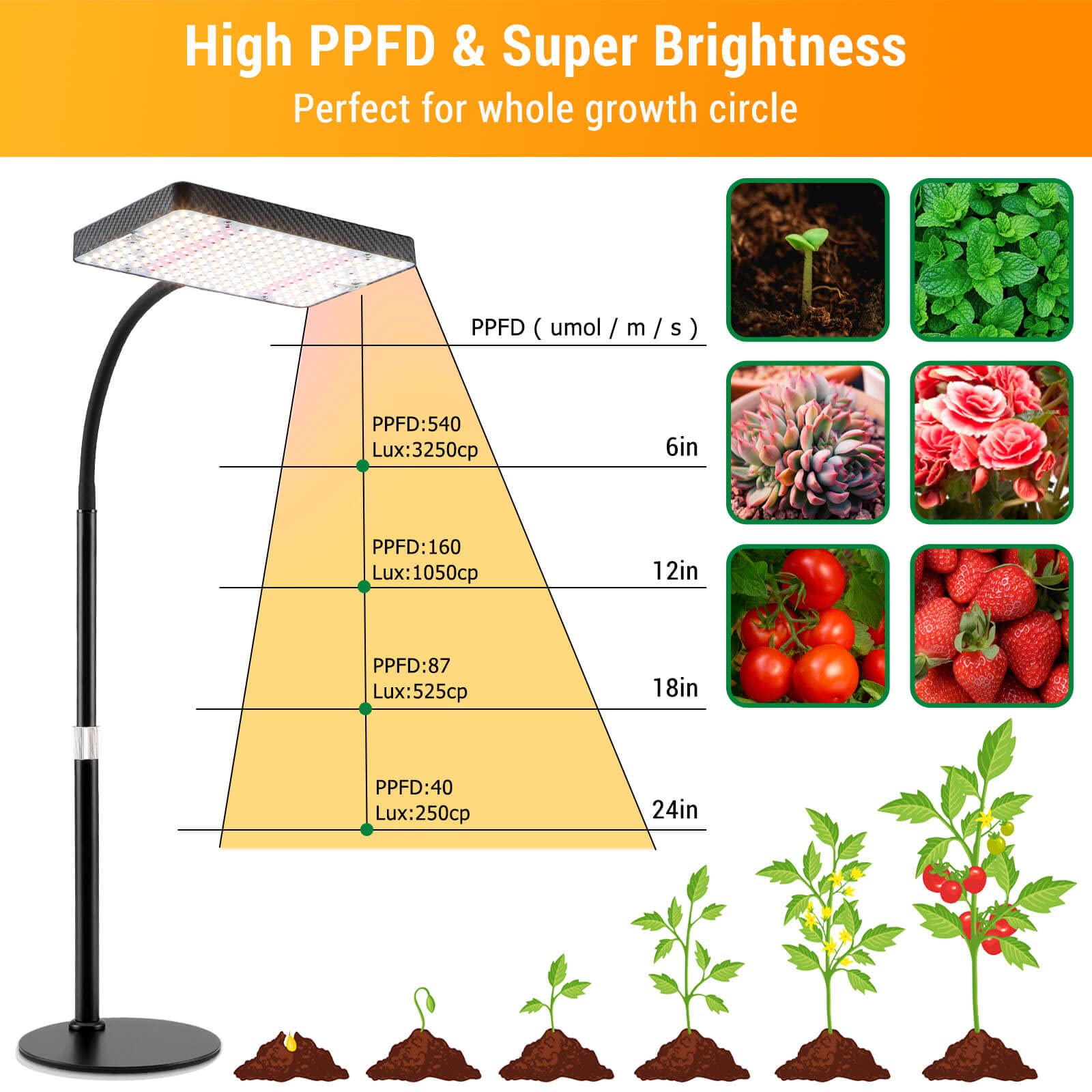Compact grow light showing 208 LEDs and high brightness