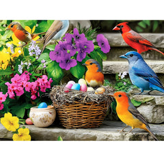 300 piece adults puzzle with colorful birds artwork