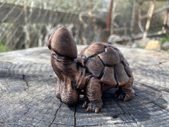 Close up of handpainted PLA penis turtle detail