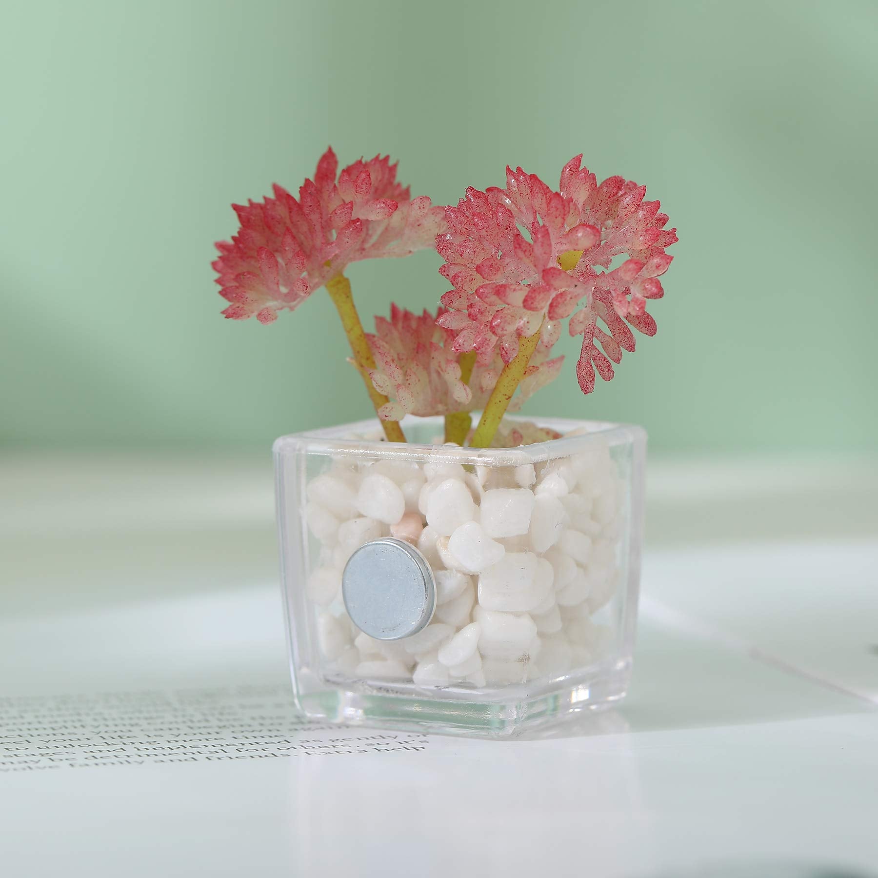Set 1 four piece plant magnet set