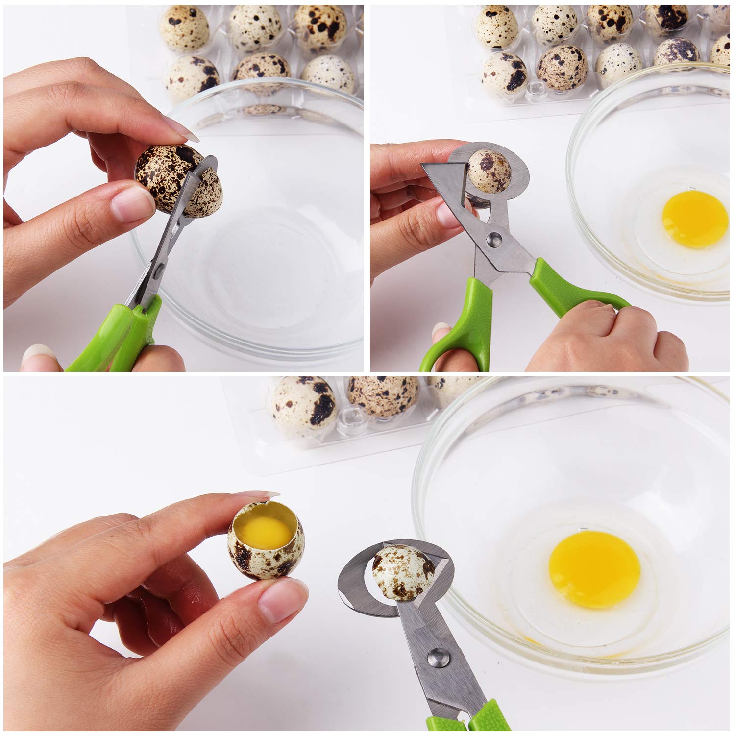 Green ABS handles on egg cutting shears
