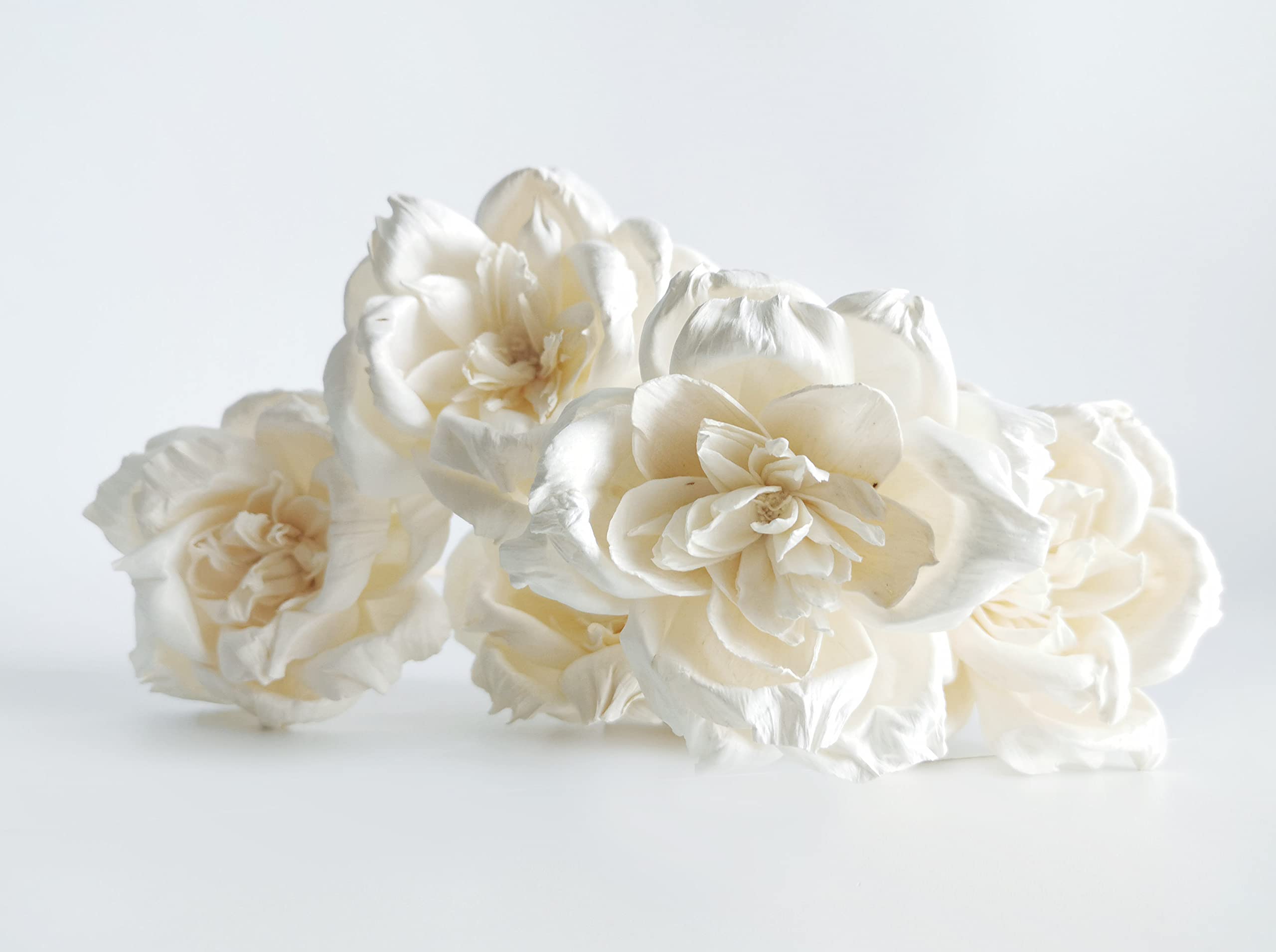 Five Sola Flower pieces included