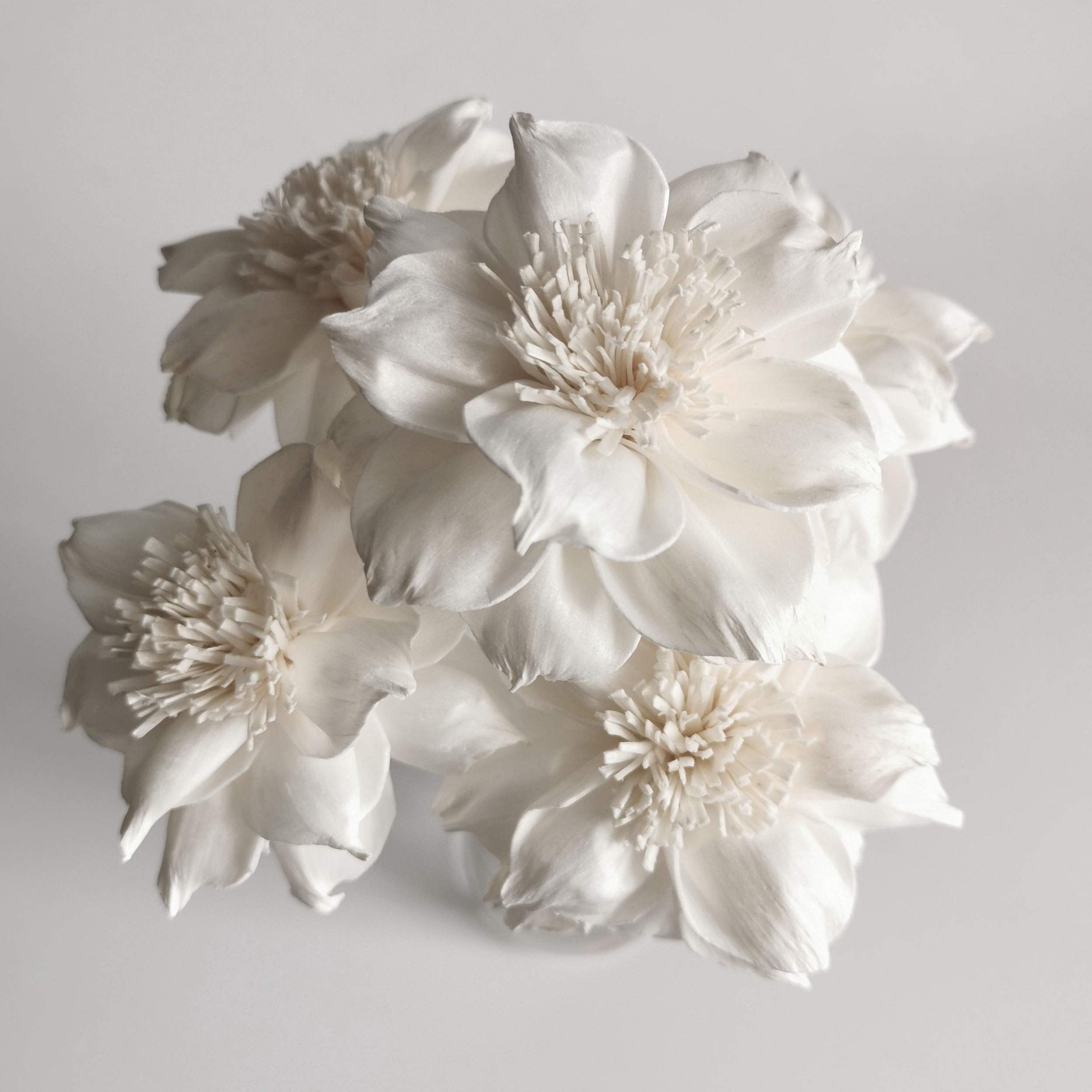 Diffuser set includes 5 sola flowers by Plawanature not including bottle vase fragrance