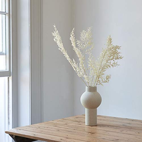 five stems per bunch greenery display