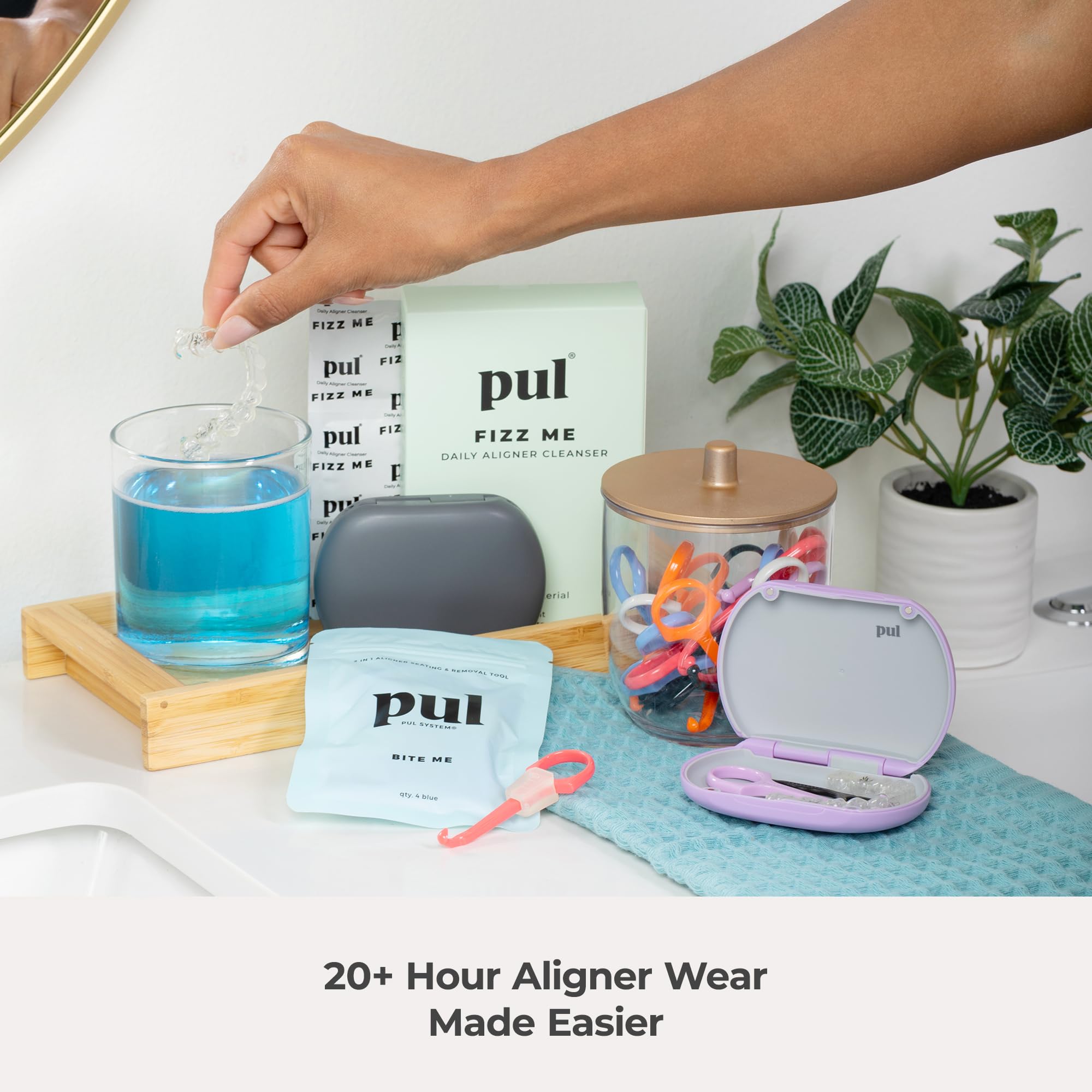 PUL Mint dental floss picks eco friendly design