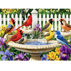 500 piece puzzle for adults featuring colorful birds around a birdbath