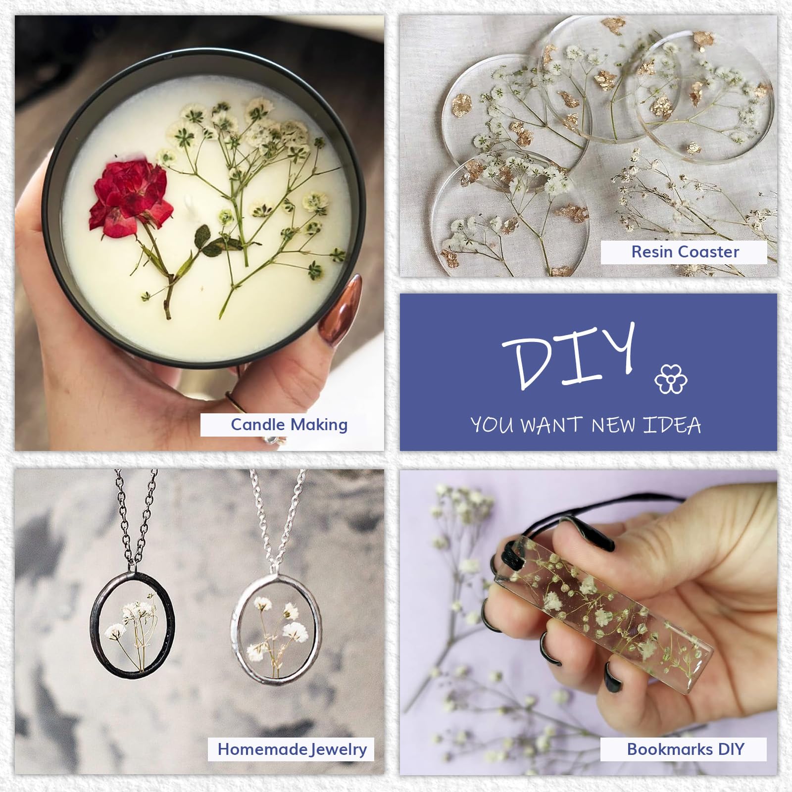 Natural dried flowers ideal for home decor and gifts