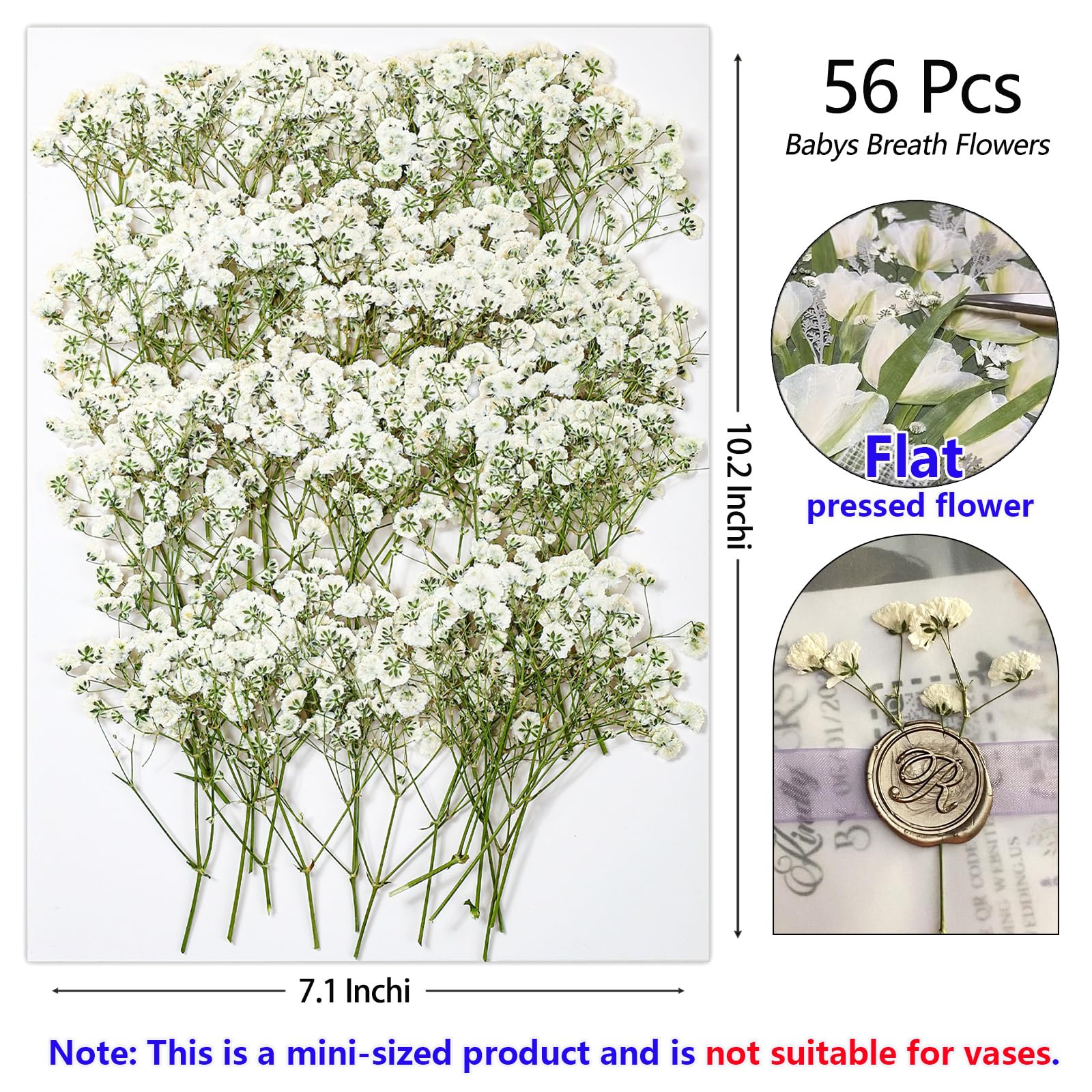 Dried pressed flowers suitable for resin art and jewelry