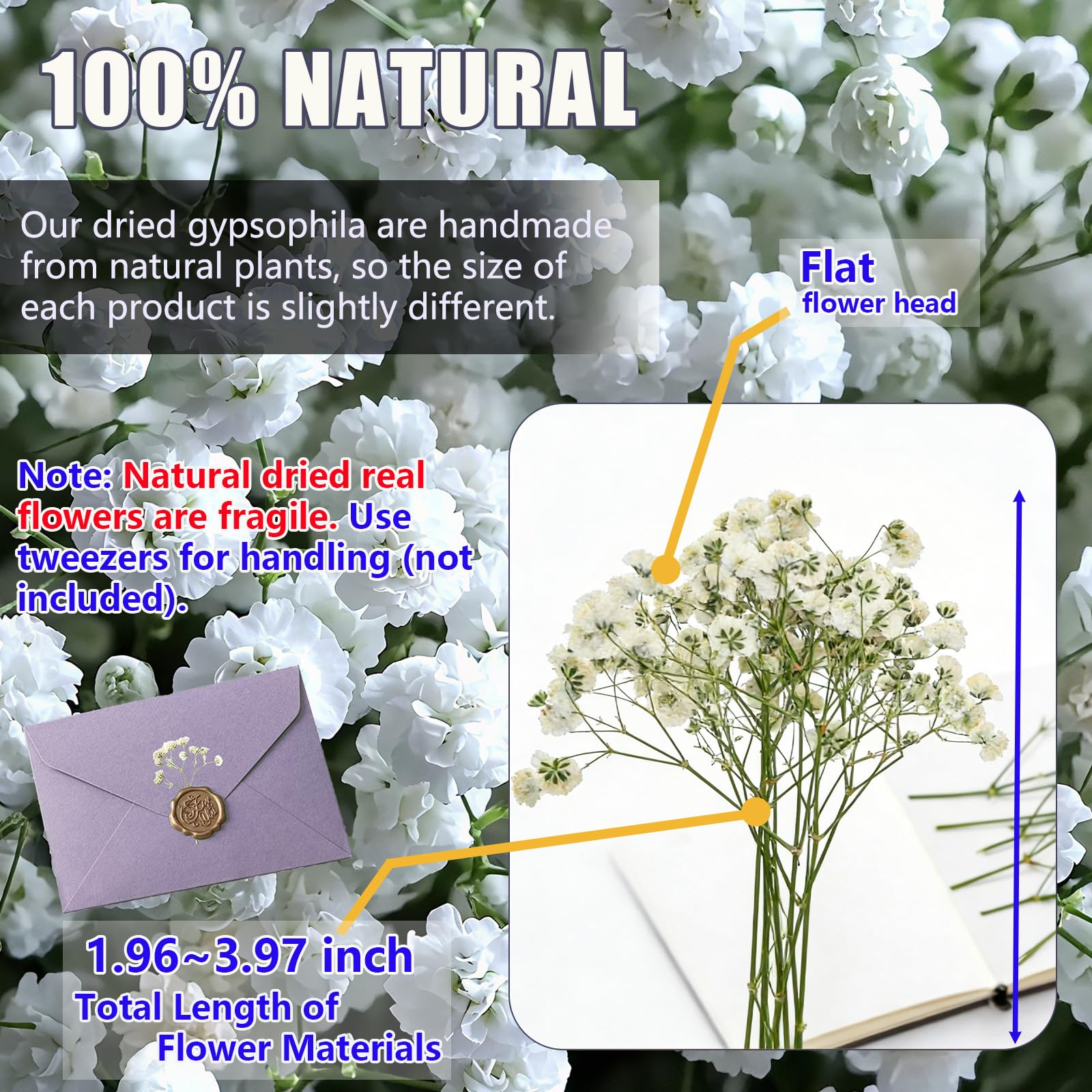 Vacuum sealed packaging protects pressed flowers