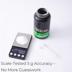 calibrated creatine monohydrate scoop 5g