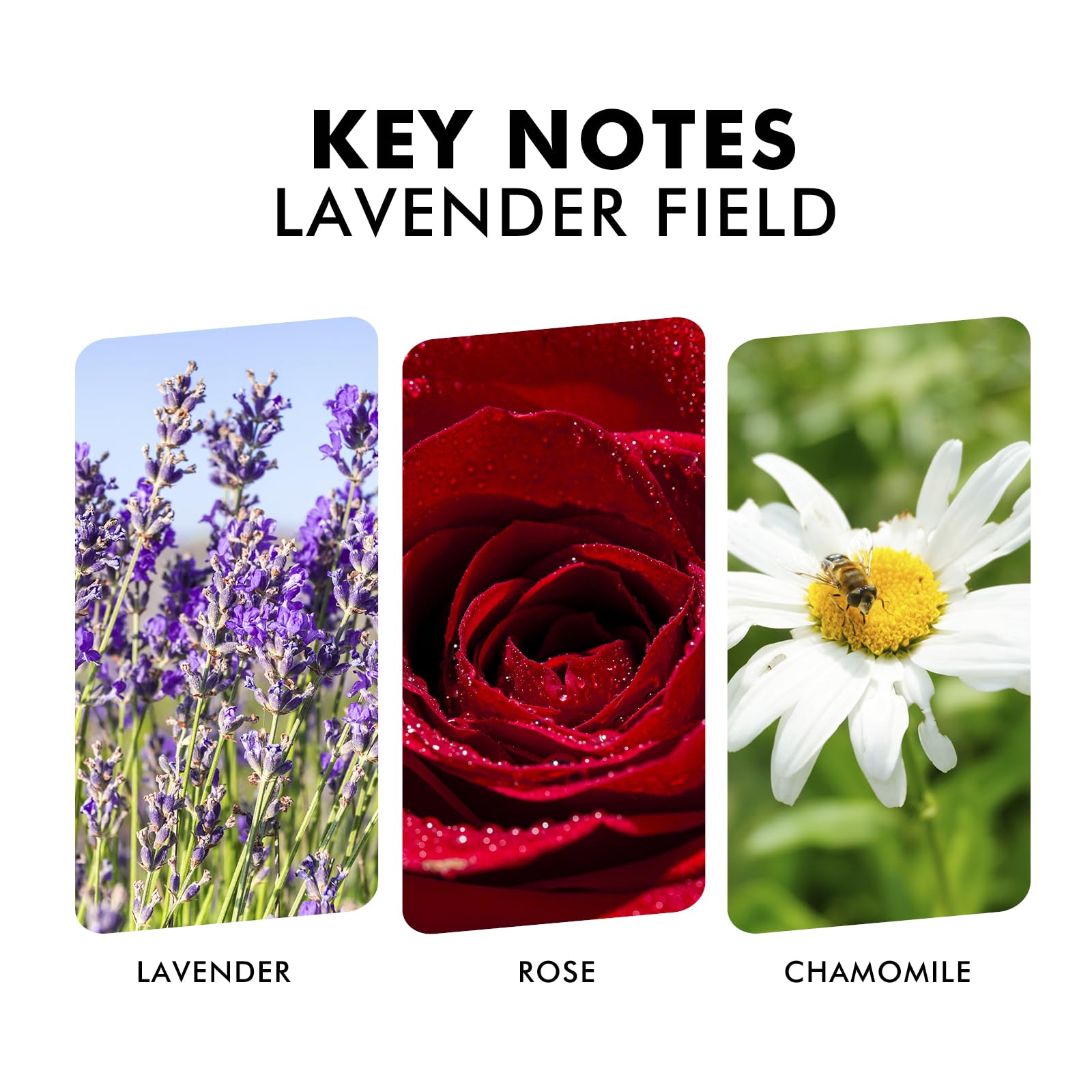 Premium natural mixture essential oil 110 ml for diffuser
