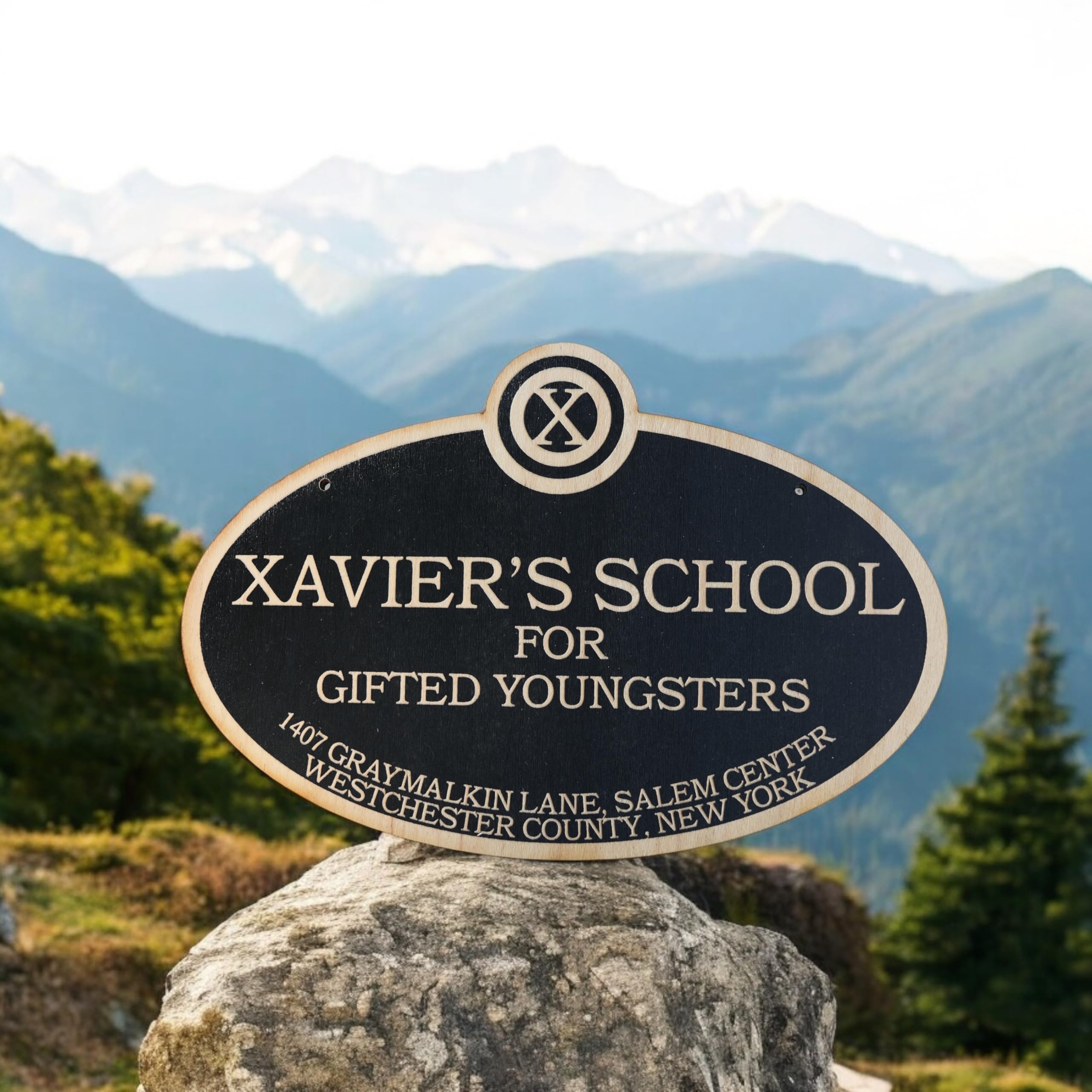 Xavier's School Gifted Youngsters sign 6x9 inches black