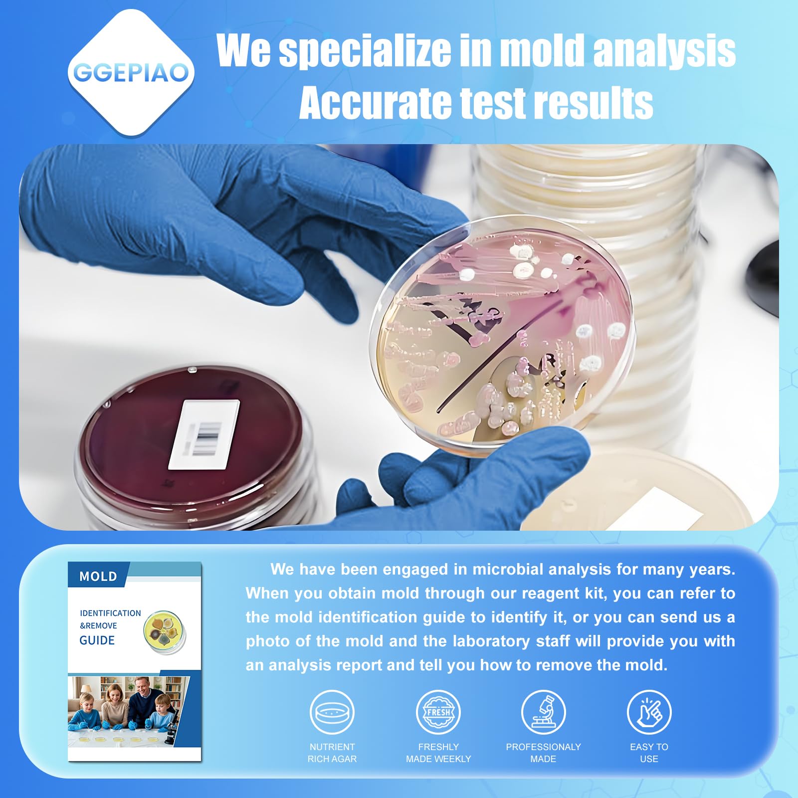 7-test mold detection kit components