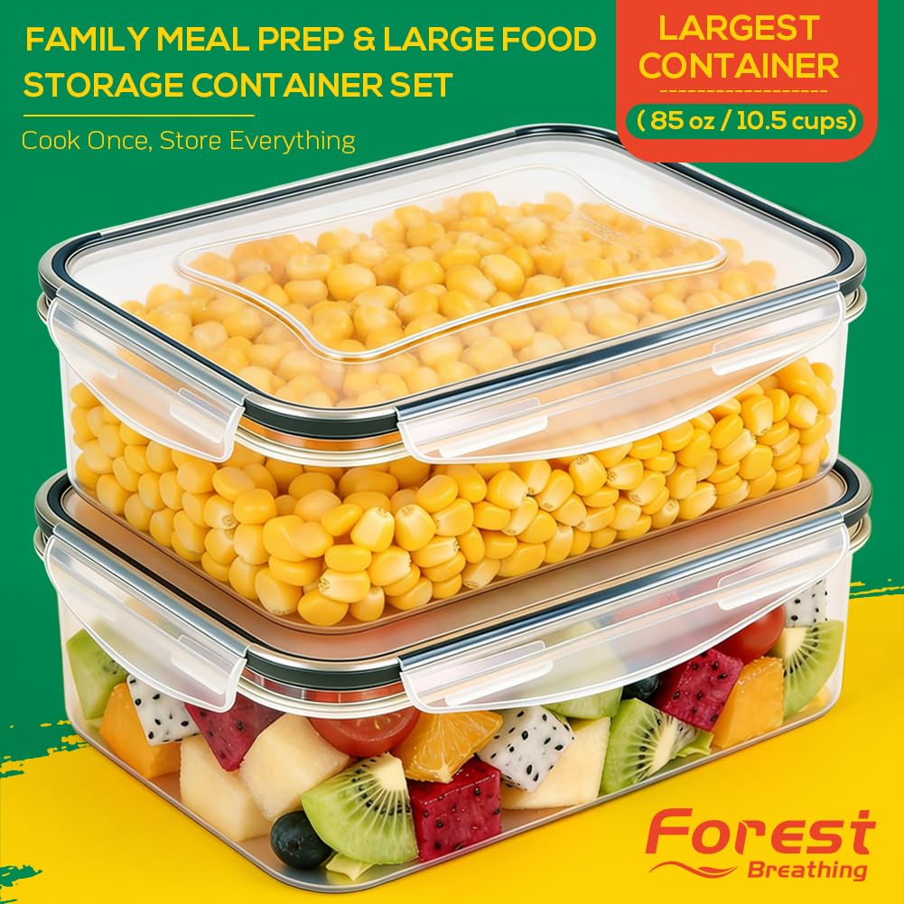 Two 85oz containers with lids for family meals