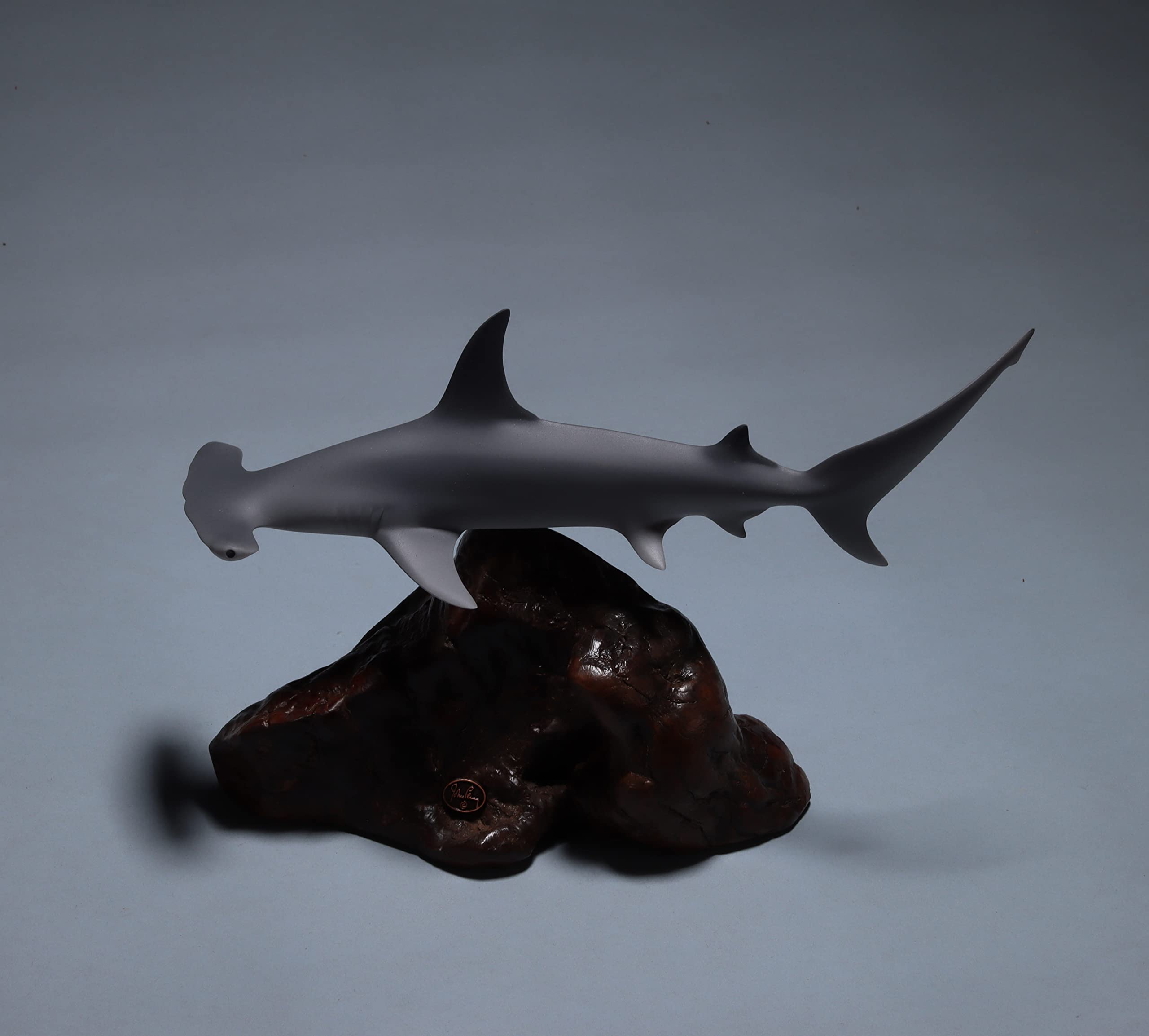 From private lands manzanita burl base for hammerhead shark