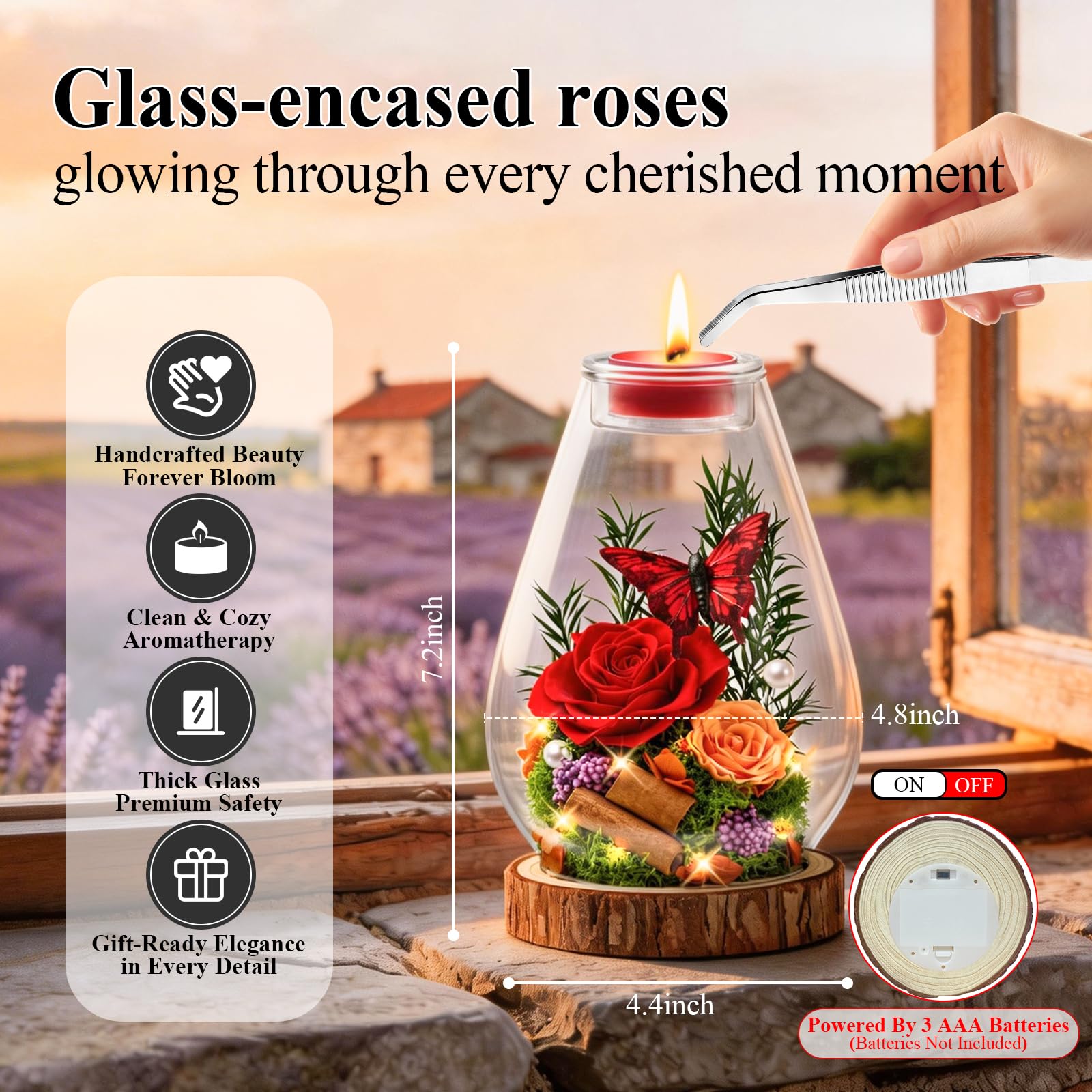 AAA-grade preserved roses arranged for display