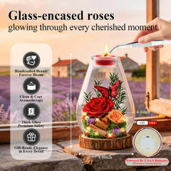 AAA-grade preserved roses arranged for display