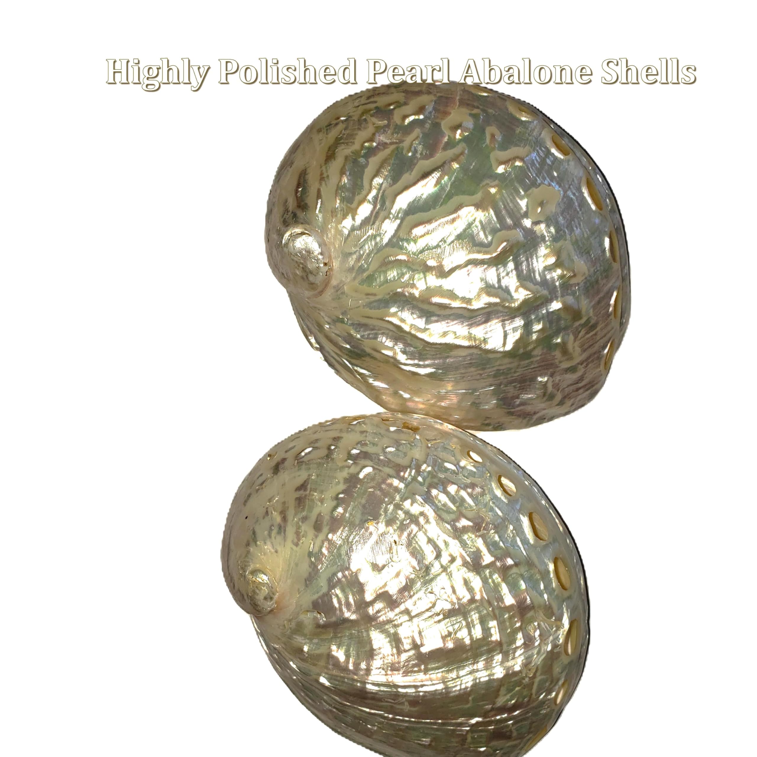 Wreath shows 4 different abalone shell options