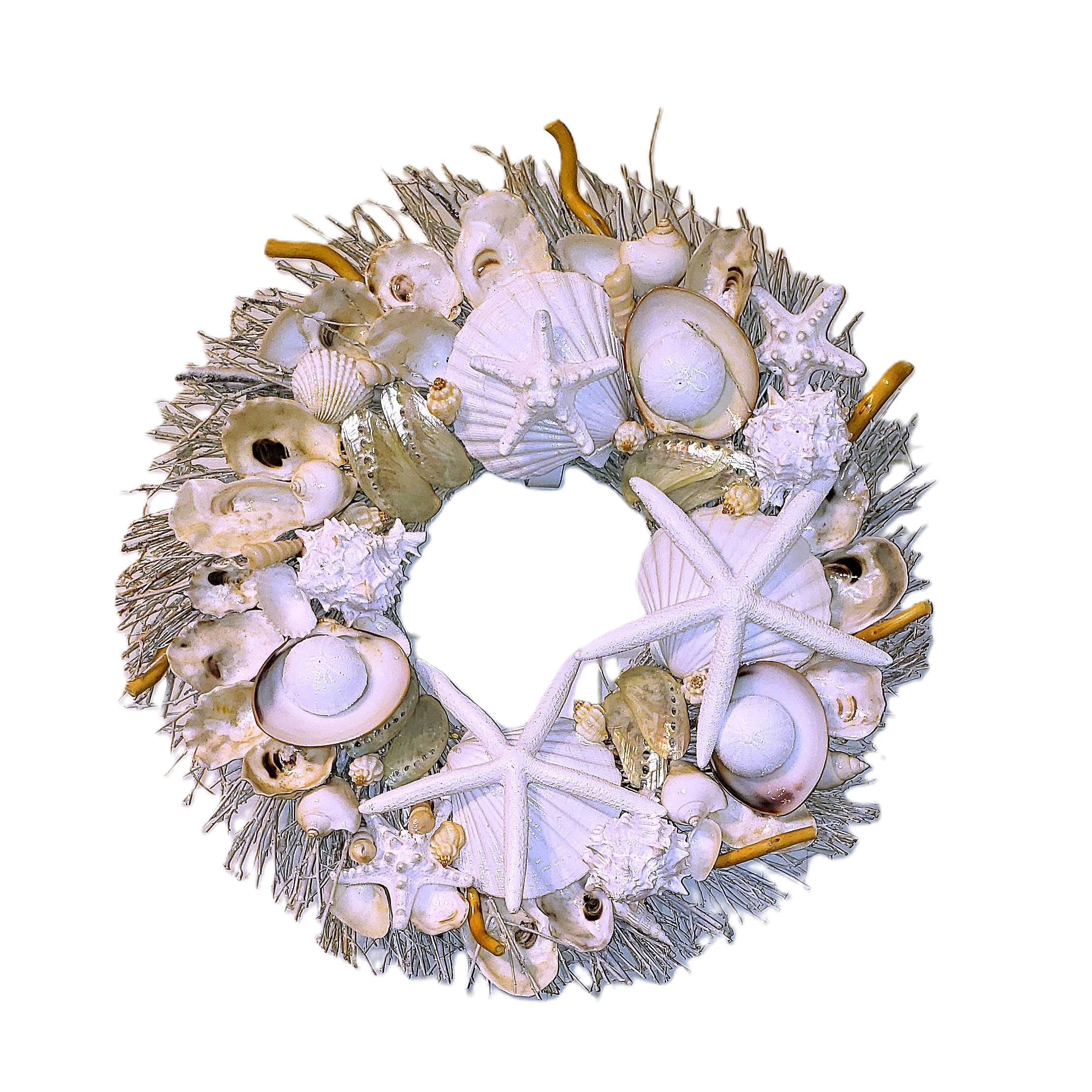 Three pearl abalone shells on sea shell wreath