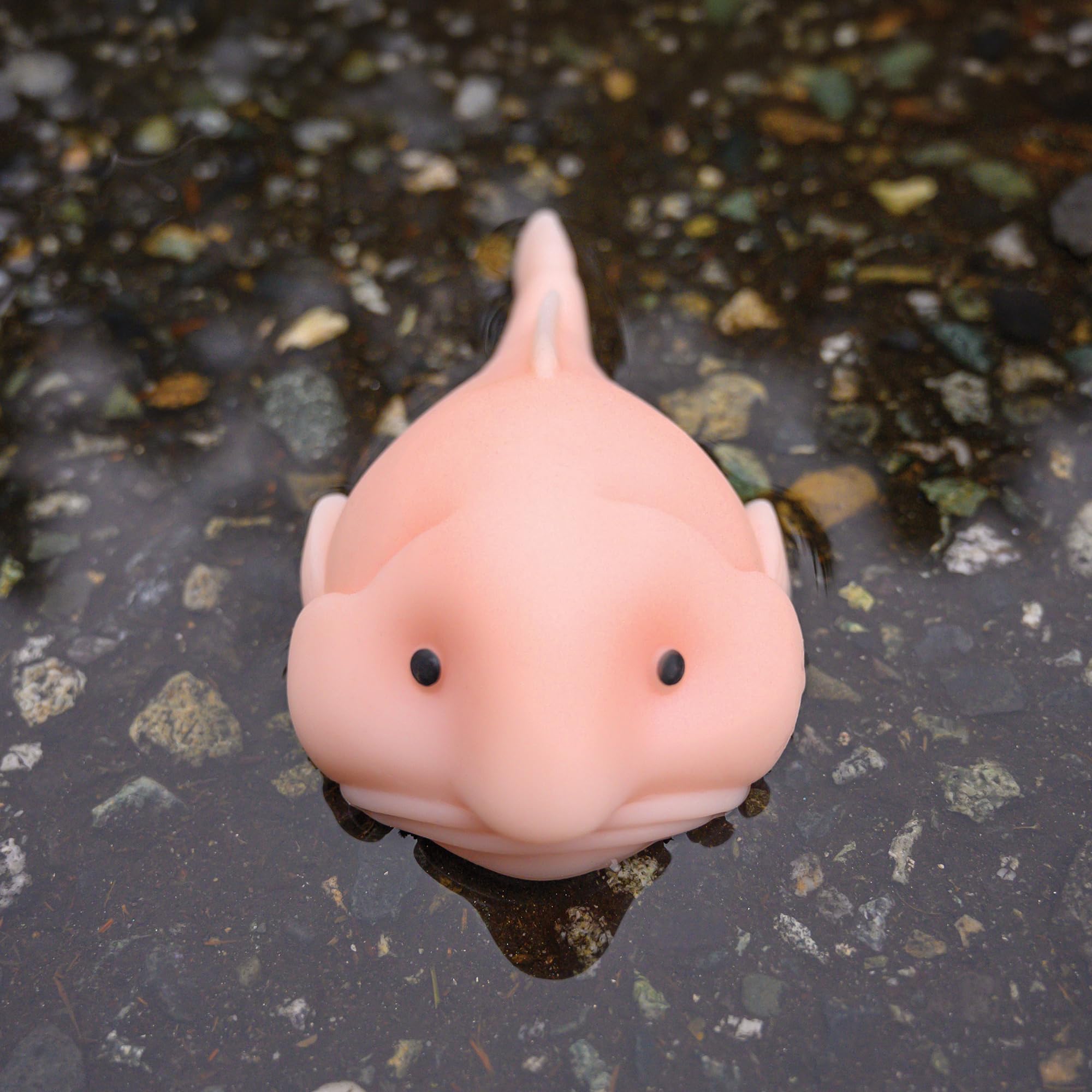 Accoutrements Sunny The Blobfish desk companion 5in