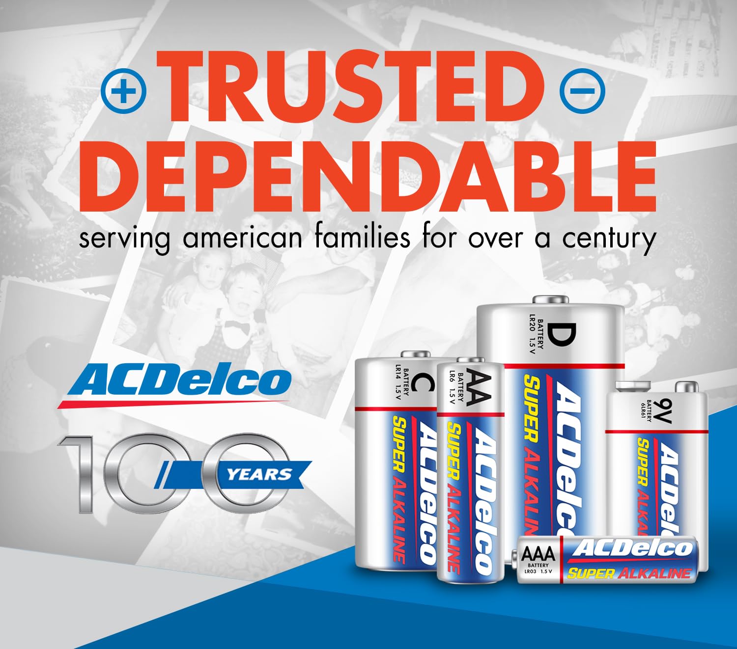ACDelco AA alkaline batteries 1.5V not rechargeable