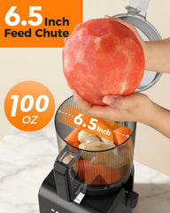 ACOOQOOS 6.5 inch feed chute design for whole fruits and veggies