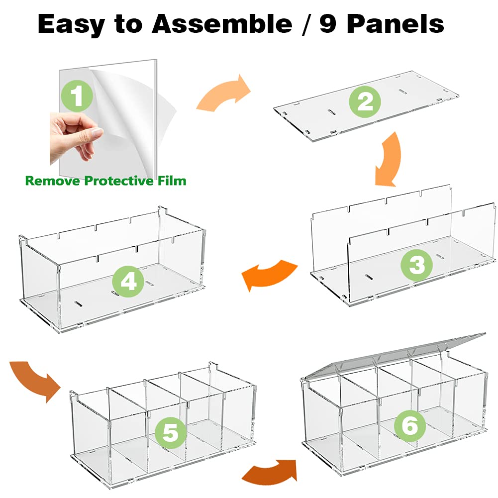 Clear acrylic four-compartment box for capsules