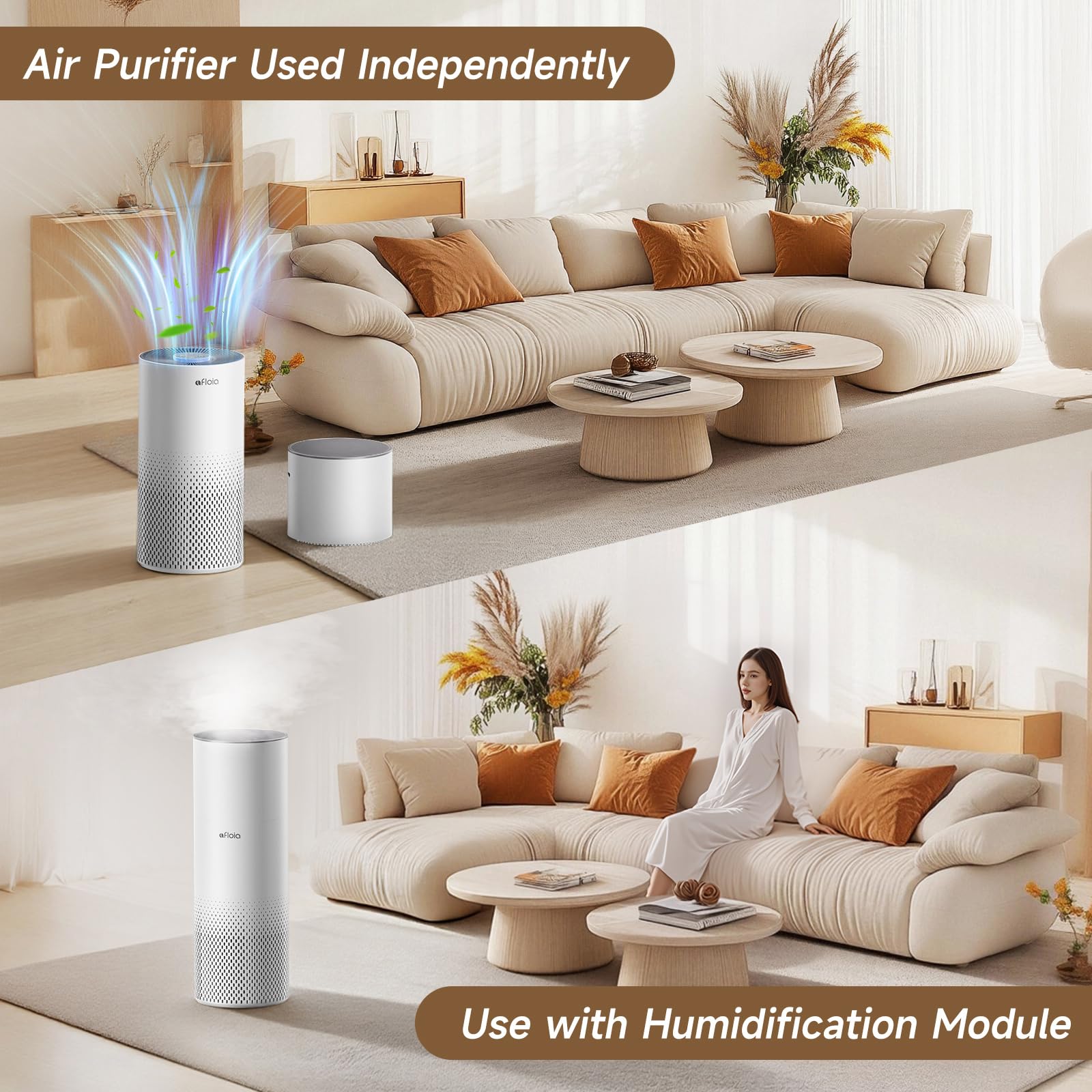 Mist-free humidification no puddles or white dust