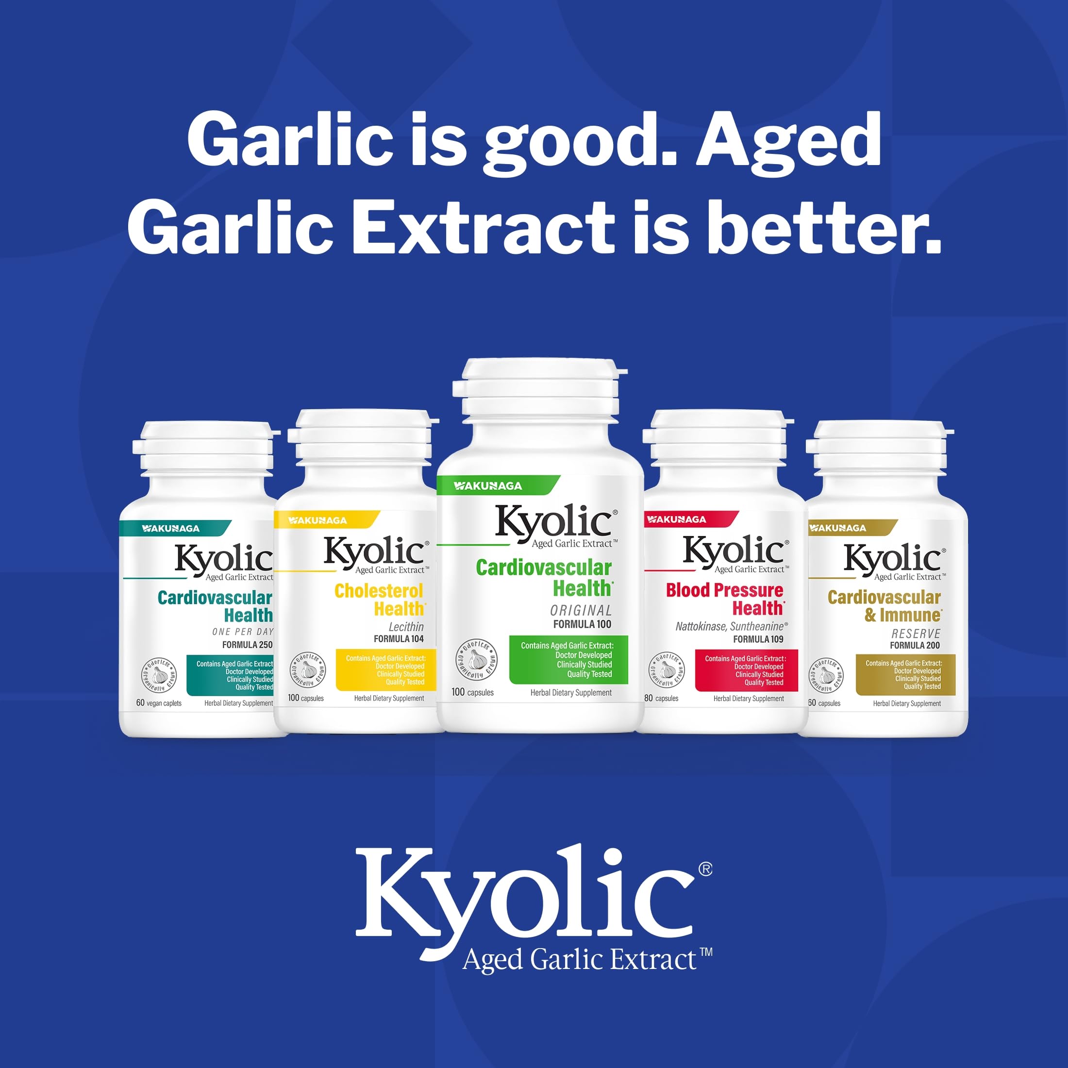 Kyolic garlic extract 300 capsules packaging detail