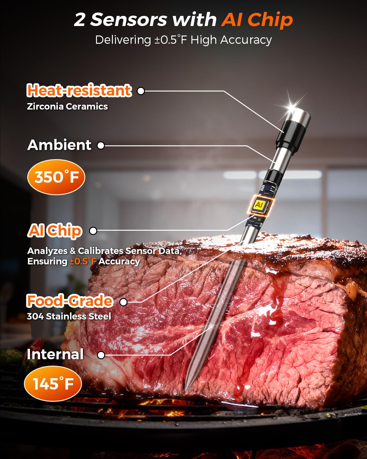 Bluetooth 5.2 thermometer dual probes