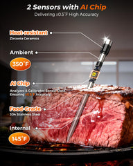 Bluetooth 5.2 thermometer dual probes