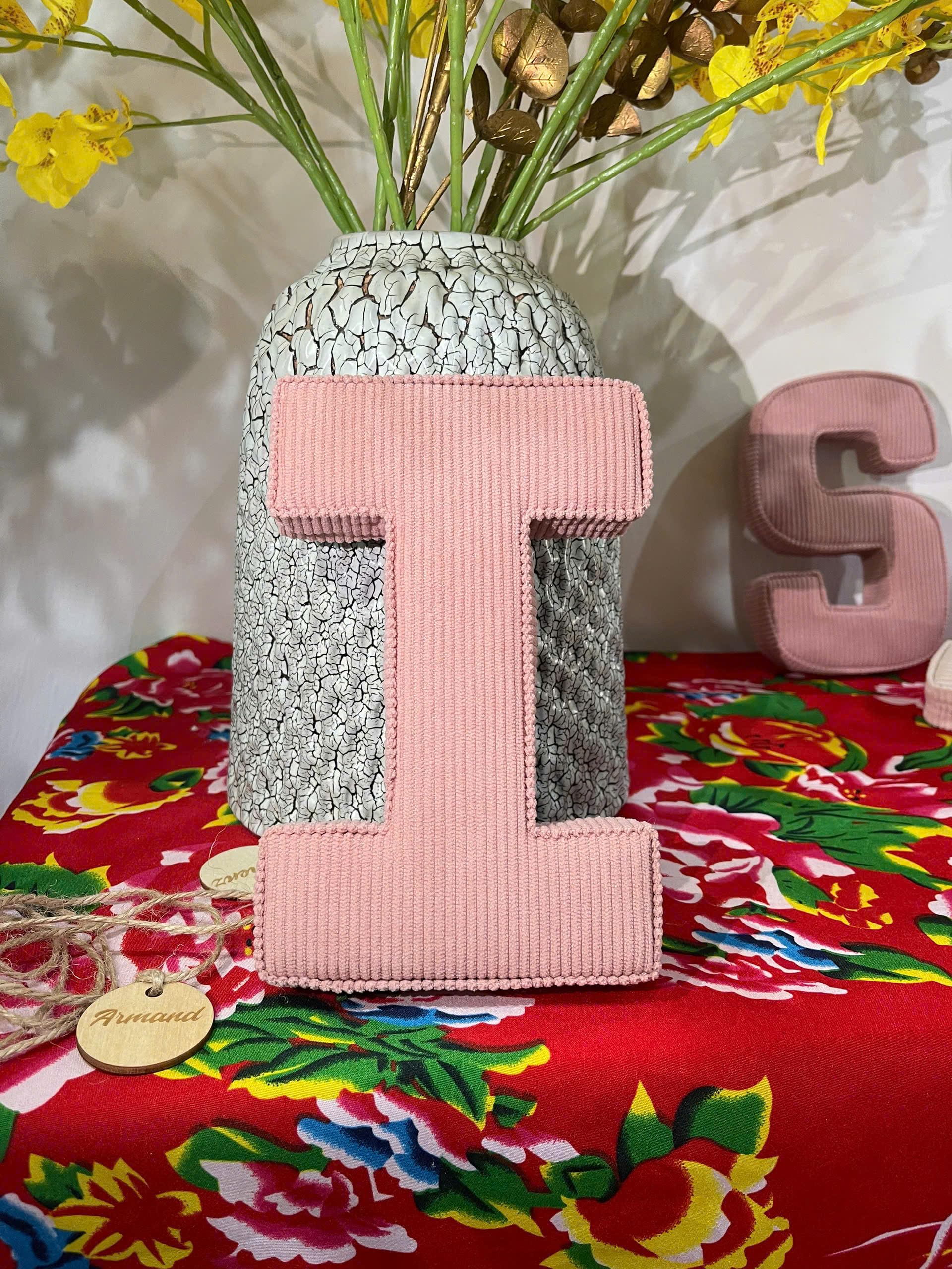 Alphabet letters for learning play in kids room