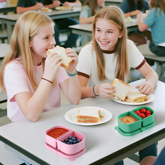 Two-compartment Alphatool snack containers with secure lid