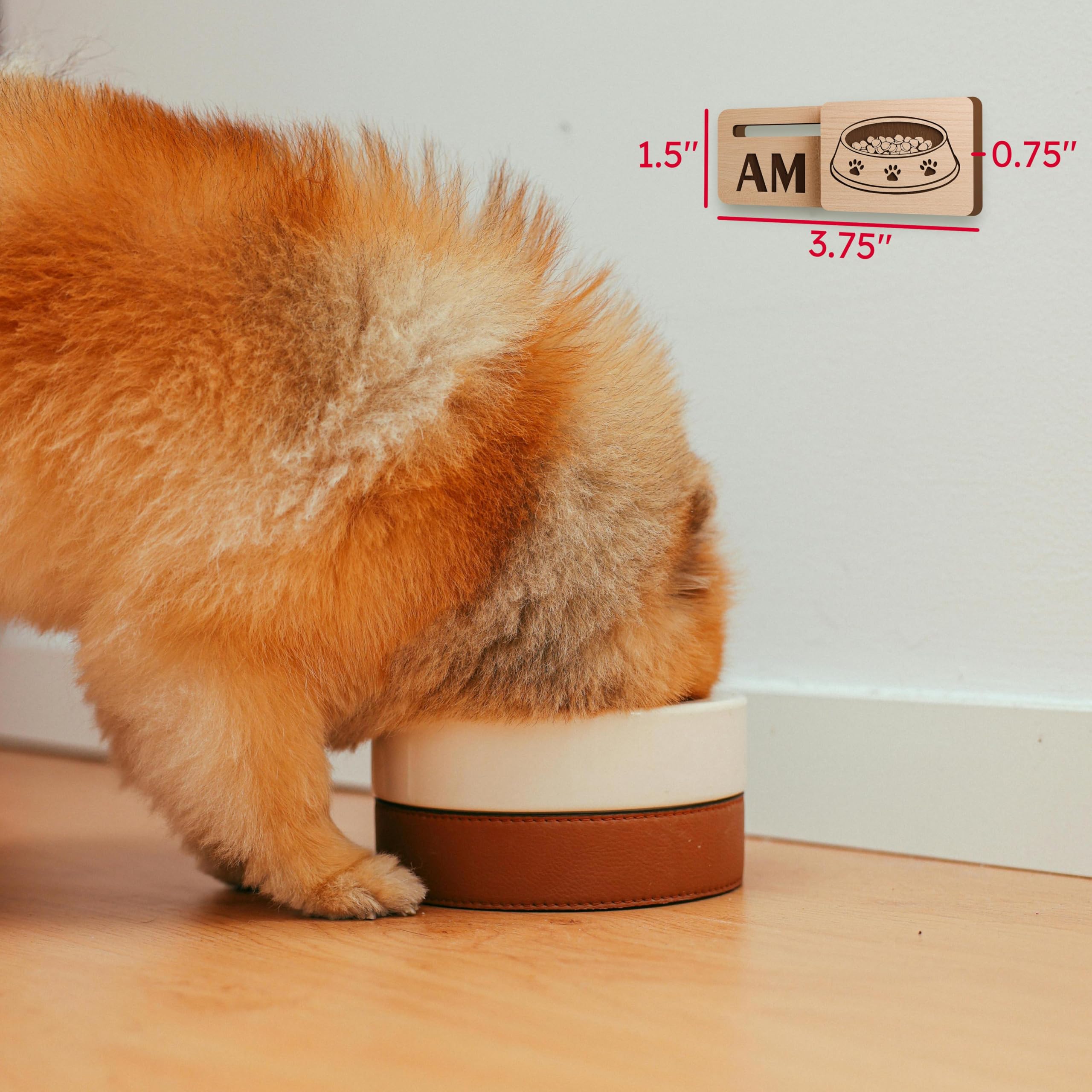 AM PM settings shown on Pet BOWL AM PM EZSlide Tracker