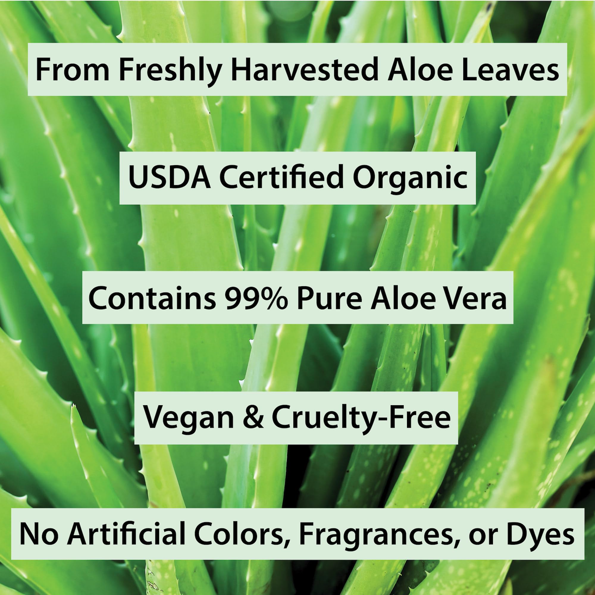 Amara Aloe Vera Gel used as aftershave and hair gel