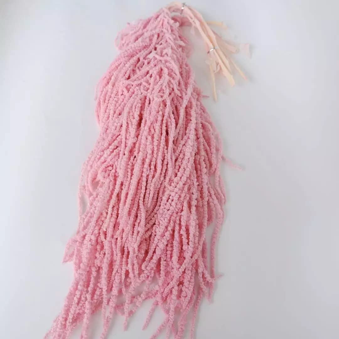 Preserved pink amaranthus stems 32-40 inches for weddings