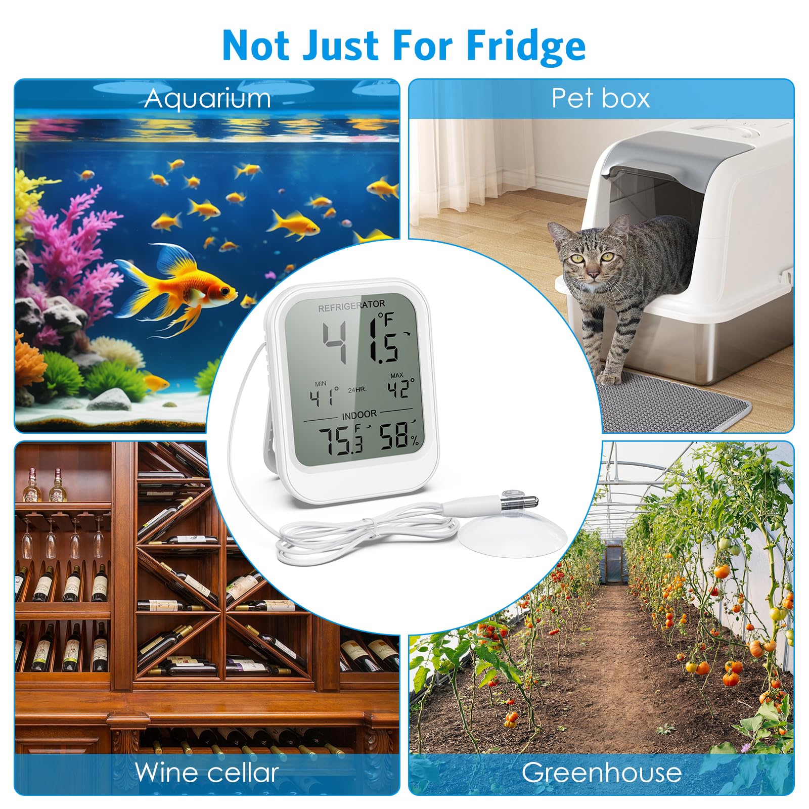 Removable suction cup for secure placement in fridge