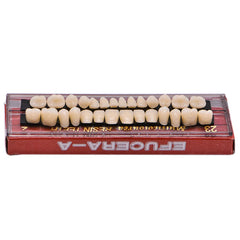 Angzhili Halloween prop teeth kit A2 color resin teeth