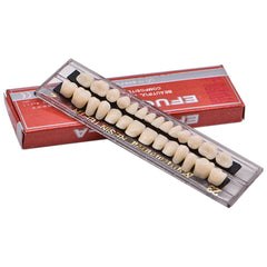 Resin denture teeth Angzhili kit 28 pieces per box