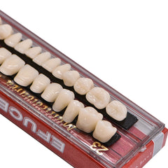 Two boxes of resin denture teeth Angzhili 28 pcs per box