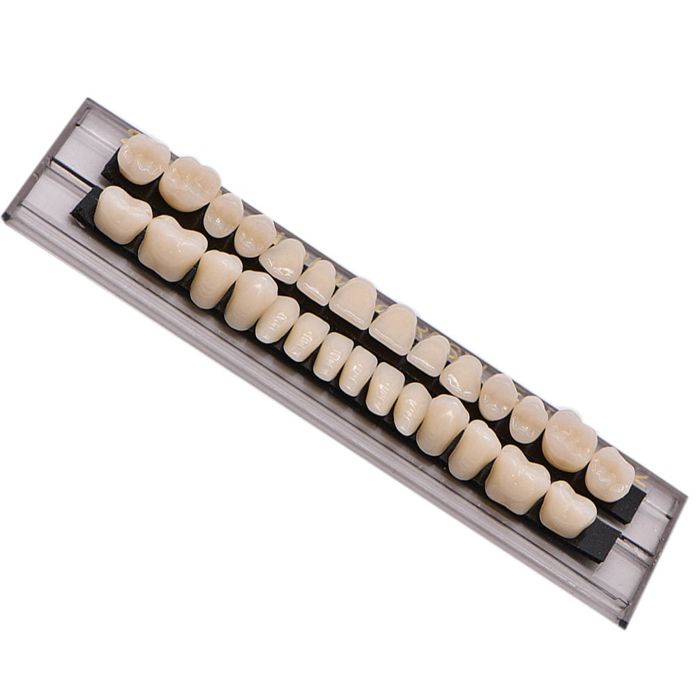 Denture teeth kit Angzhili for makeup and school projects
