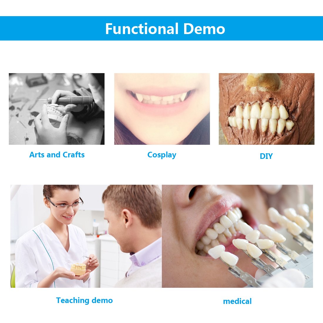 Angzhili resin denture teeth educational prop set