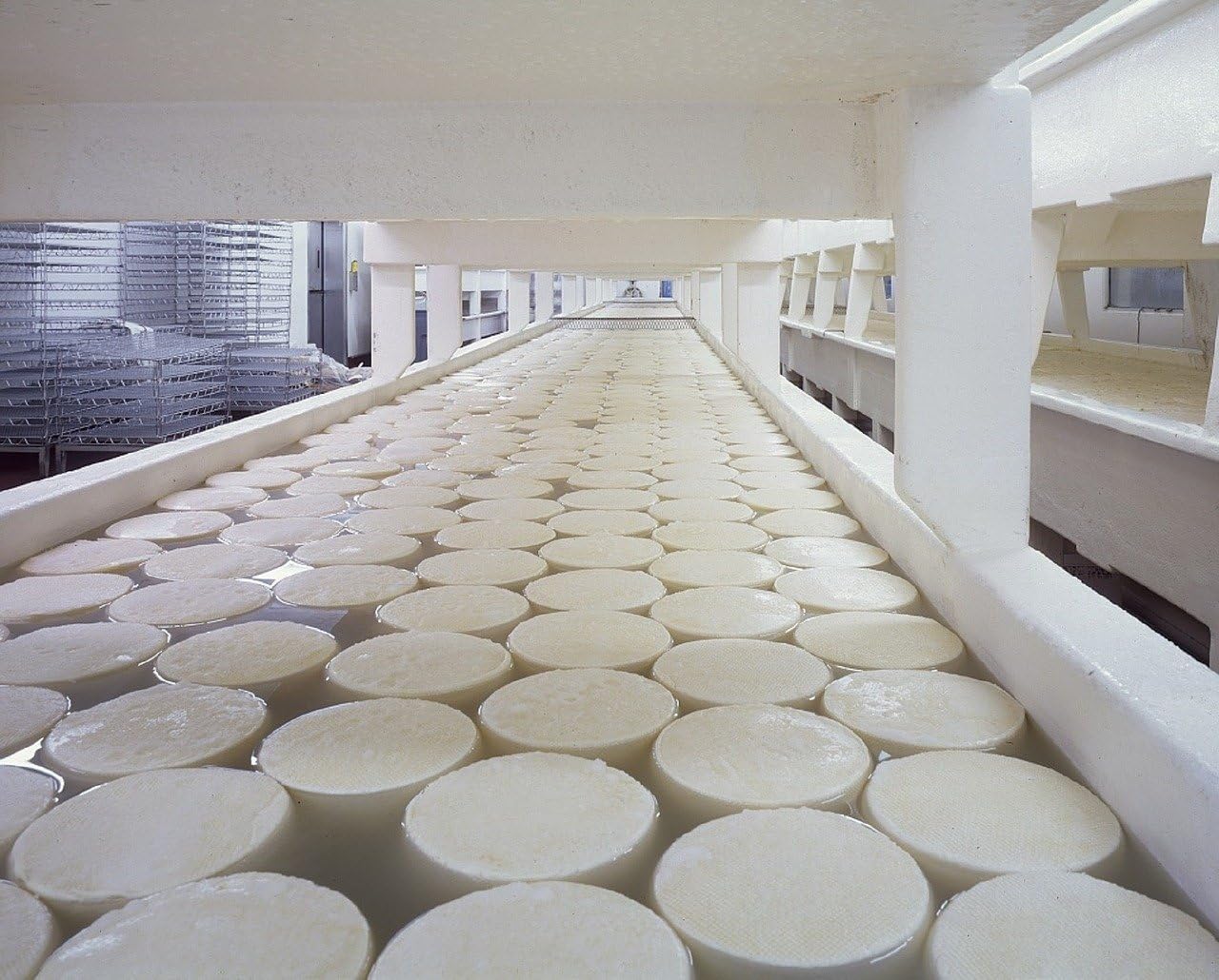 Animal-free coagulation agent for cheese making 50ml bottle