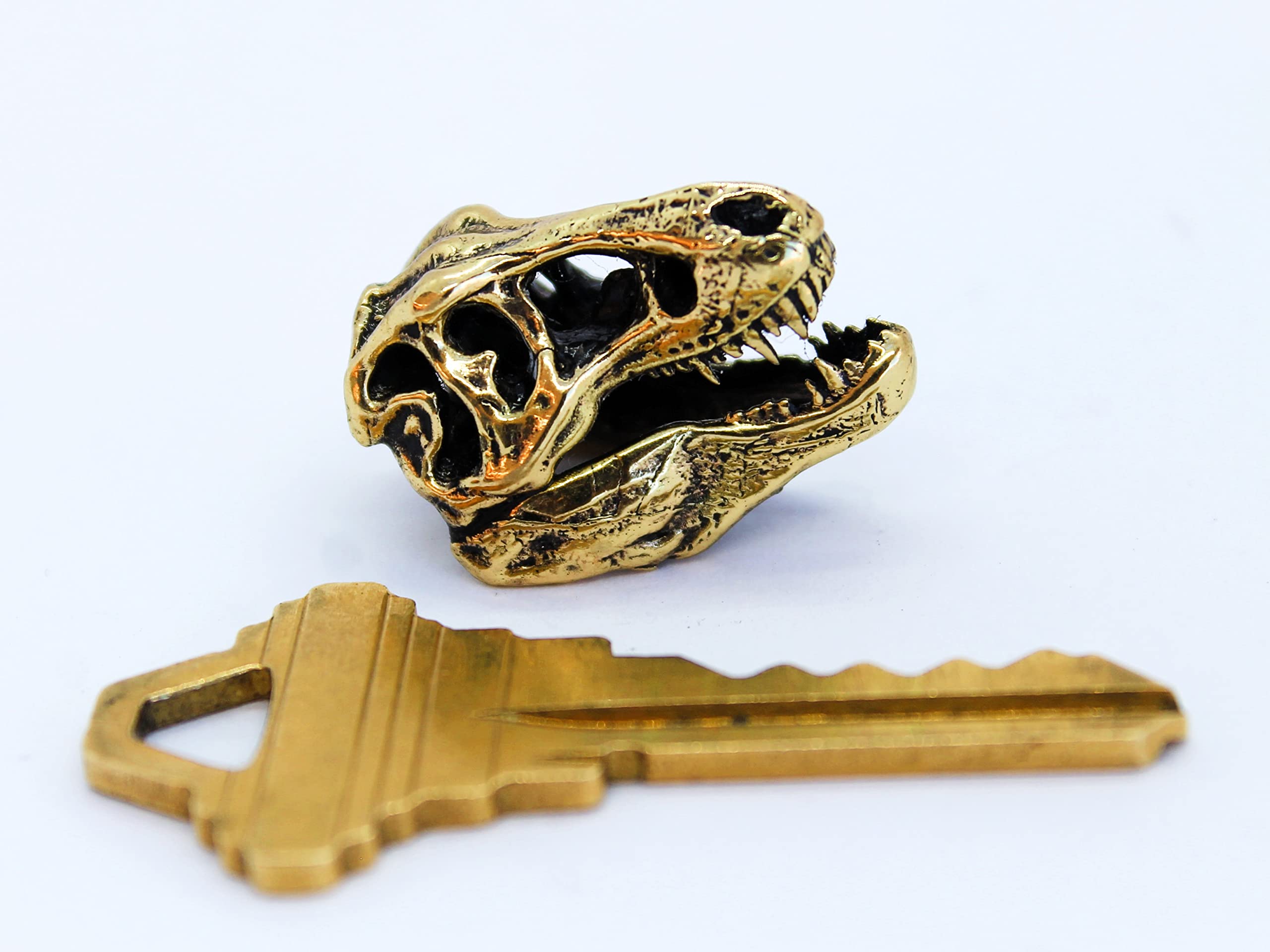 T-Rex skull pendant on office desk