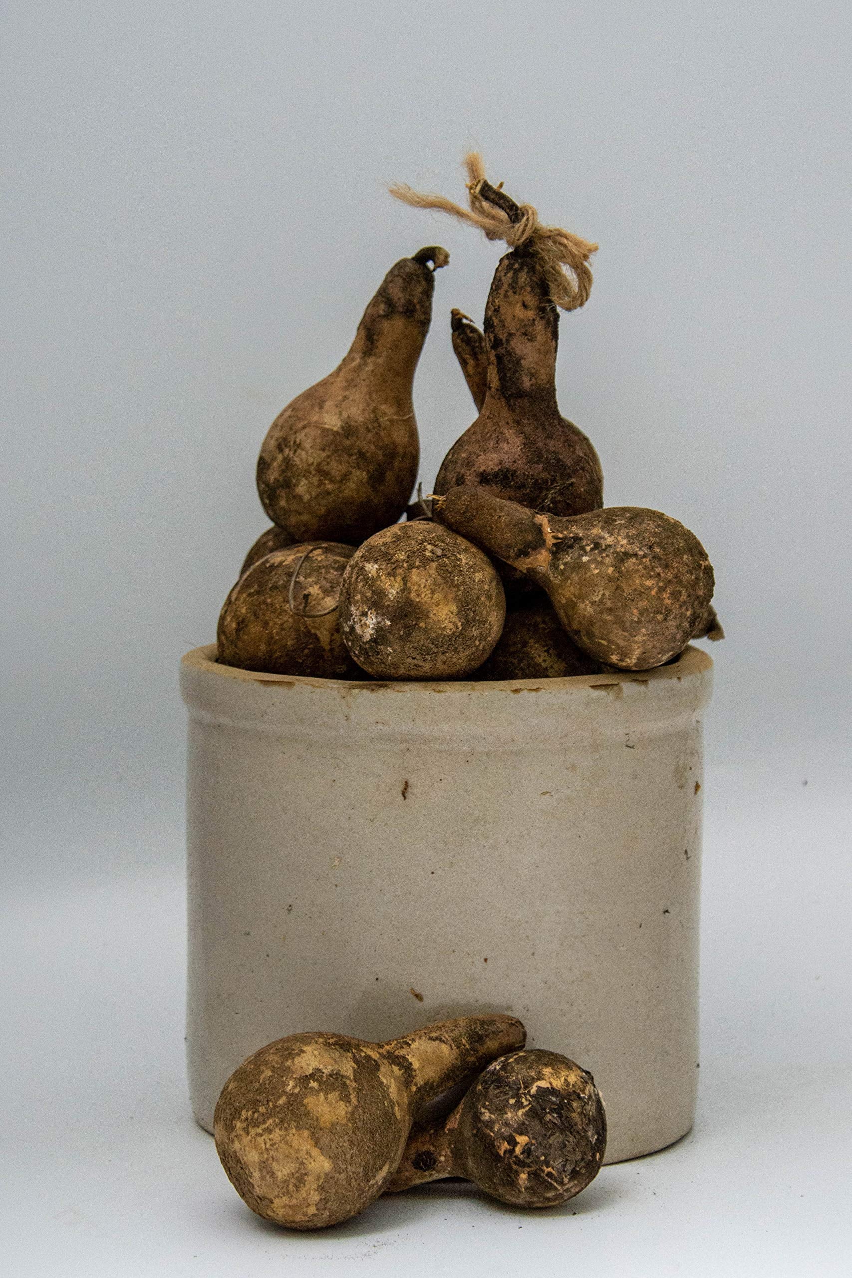 Unwashed gourds ready for DIY finishing